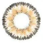 Western Eyes Nobluk Hydro Brown