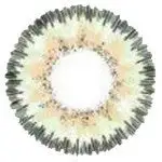 Western Eyes Nobluk Hydro Green