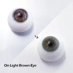 Urban Layer Porto Green -Cosmetic Shop Portogreenbrown